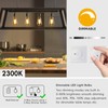 Jensense Edison Bulbs E26 LED Bulb 60 Watt Equivalent, Vintage