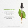 Secrets of the Tribe Cryptolepis Tincture Alcohol-Free Extract, High-Potency Herbal