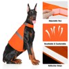Orange Dog Vest High Visibility Safety, Dog Hunting Vest, Dog