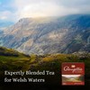 Glengettie 80 Teabags (Pack of 6, Total 480 Teabags)