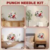 Punch Needle Kit for Beginners, DIY Embroidery Kits for Adults
