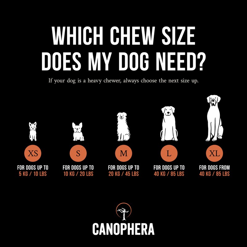 Canophera - Dog Chew Root Made of Briar Wood (Xtra