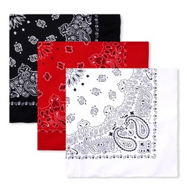 Haakong 3 Pcs Bandanas for Men Paisley Pattern Bandanas in Bulk Neckerchief Scarf Head Wrap Necktie Face Cover for Men Women (3, Red Black White)