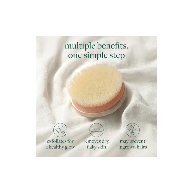EcoTools, Dry Body Brush, Cepillo Ecológico para Exfoliar, Cepillos Corporales