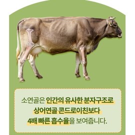 FELT BOX Lee Ga-in Bovine Cartilage Chondroitin Salmon Nose Proteoglycan Tablets Ministry of Food and Drug Safety 4 months