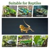 LUCKITTY Arbitrary Cutting Terrarium Reptile Carpet, Reptile Mat, Bearded Dragon