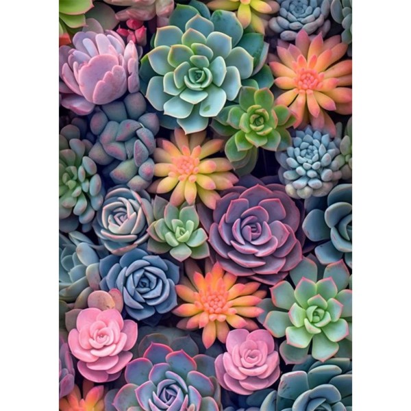 Ycydilirab Succulent Paint by Numbers Kits for Adults Beginners-Succ
