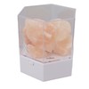 Himalayan Salt Lamp LED RGB Dimmable USB Decorative Essential Oil