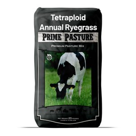 Outsidepride Ryegrass Seeds - 50 lb. Annual, Hardy & Fast-Growing, Cover Crop Seeds for Planting Glossy Dark Green Grass Leaves, Ideal for Hay Foraging, Pasture Grazing & Erosion Control