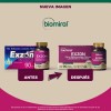 Biomiral Exzon Tabletas Nutricionales Sabor Uva