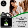 Naturevibe Botanicals Naturevibe Botanicals Amla Oil 32oz and Bhringraj Oil