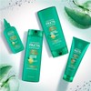 Garnier Hair Care Fructis Grow Strong Shampoo, 12.5 Fluid Ounce