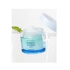 GOODAL Ice Heartleaf Hyaluron Soothing Cream 75ml