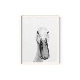 Black and White Cute Female Duck Portrait Print | Farm Animal Art For Children's Nursery | Rustic Farmhouse Duckling Kitchen Art | Country Home Wall Decor | 11x14 Ready to Frame | Bathroom Wall Art