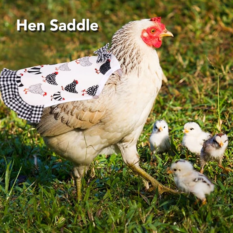 8 Pcs Chicken Saddle for Hens Wing Back Protector Elastic