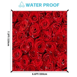 Beach Blanket Waterproof Sandproof Oversized Extra 78.7 * 88.6 inch / 6.6 * 7.2 Ft for 1-8 Adults,Soft and Durable, Quick Drying Durable Outdoor Beach Mat,4 Stakes & 1 Travel Bag