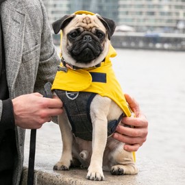 HUGO & HUDSON Tweed Dog Collar Quick Release Safety Metal Buckle, Grey Checked Herringbone, XS
