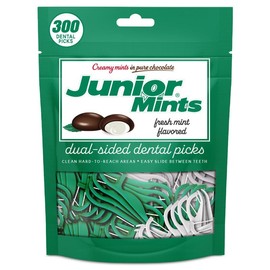 Flavored Floss Picks, 300 Count, Dental Floss Picks for Adults and Children, Durable Tooth Flossers | Mint Flavor