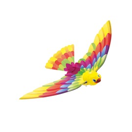 Caly TIMMY BIRD