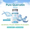 swiss bioenergetics Quercetin 1000mg 60-day supply - No Artificial fillers,