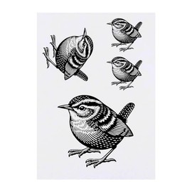 4 x 'Wren Bird' Temporary Tattoos - Water Resistant, Skin-Safe, Non-Toxic Transfers, Mixed Sizes (TO00074026)