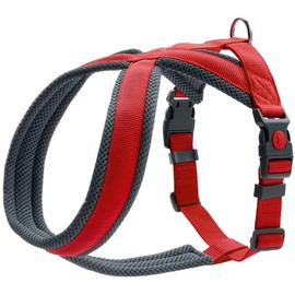 Hunter London Comfort Harness S-M/1