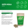 Gotu Kola Extract Capsules - High Dose - 600 mg