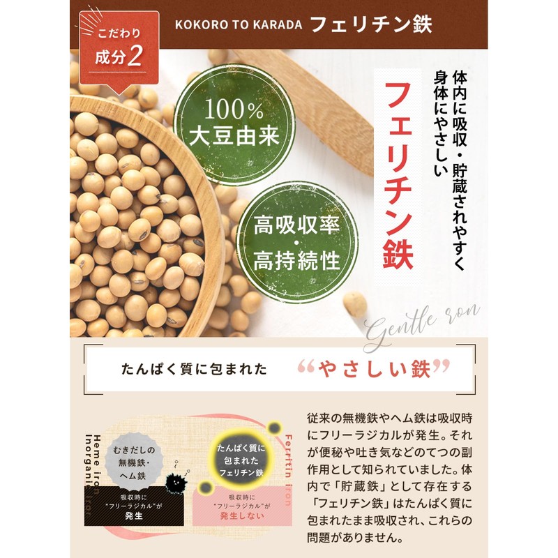 お試しサイズ ココロとカラダ Ferritin10子供 鉄分 フェリチン鉄 オーガニックプロテイン パウダー 無添加 有機JAS USDA