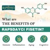 Liposomal Fisetin and Quercetin 1200 mg - 60 Soft Gel