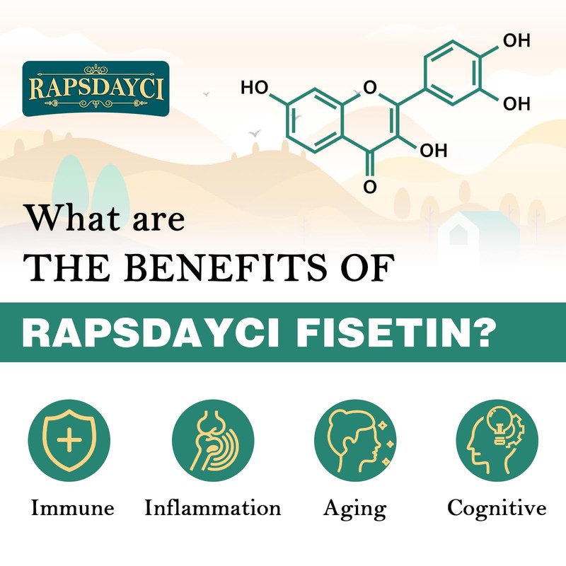 Liposomal Fisetin and Quercetin 1200 mg - 60 Soft Gel