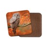 1 x Wise Brown Owl Coaster - Bird Autumn Tree