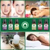 Floral Essential Oils Set, Aromatherapy Scented Oils Top 6 100%
