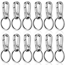 benlidoner Pack of 12 Metal Carabiner Key Rings Zinc Alloy Key Rings with Carabiner Hook Quick Release Keychain Robust Car Key Holder for Men and Women, silver