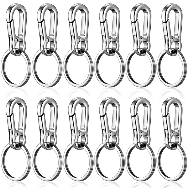 benlidoner Pack of 12 Metal Carabiner Key Rings Zinc Alloy