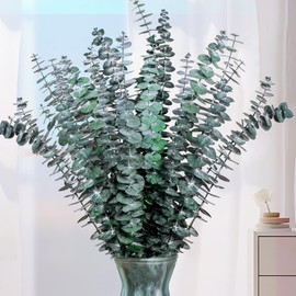 Eslibin Eslibin 21 Pcs Real Dried Eucalyptus Stems, 17" Natural Fresh Eucalyptus Branches for Shower, Greenery Leaves for Vase Filler, Fragrance, Fresh Silk Dry Live Plants Decor