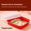 Tupperware Season-Serve Marinating Container, Dishwasher Safe and BPA Free Container