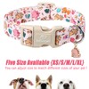 Babole Pet Cute Dinosaur Dog Collar, Adjustable Pink Dino Dog