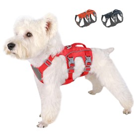 AKAILEA Escape Proof Dog Harness with Handle, Waterproof Small Medium Dog Harness for Daily Walking Training - Reflective Breathable Dog Vest (Red, M)