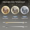 Dimmable Moon Wall Light 19.6 inch Wall Lights with Remote