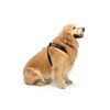 WeatherTech Pet Safety Harness - Keeps Your pet Safe and