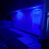 Blue Dusk to Dawn PAR38 LED Flood Light Bulbs with