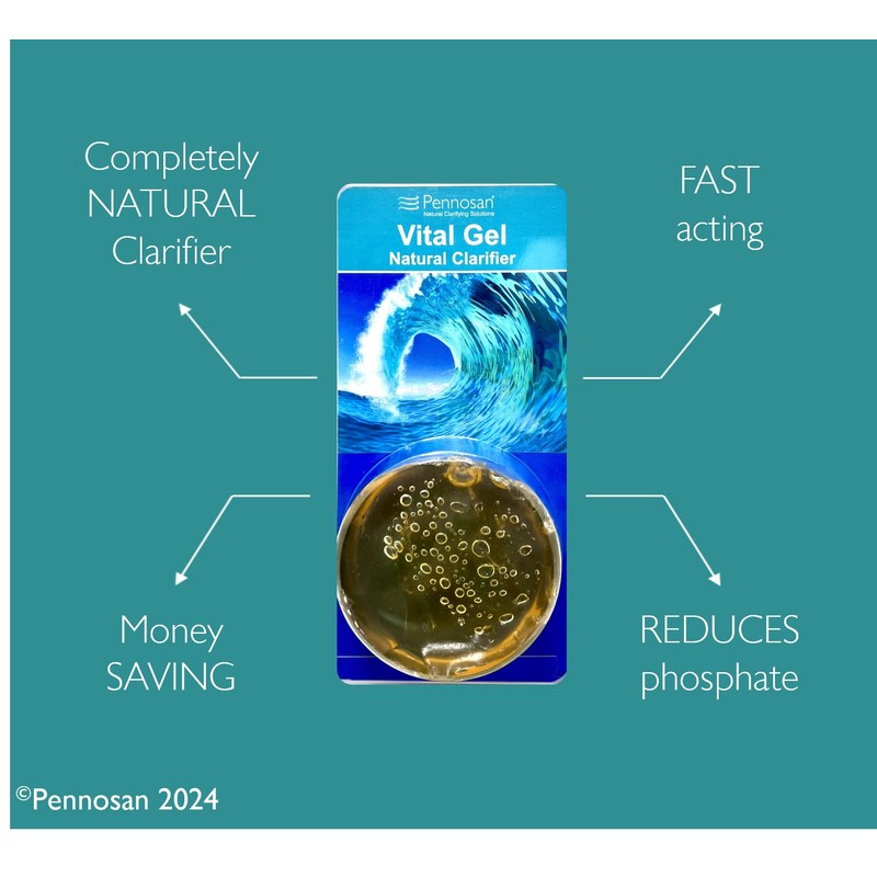 Pennosan Vital Gel Natural Pool Clarifier | The Natural Choice