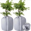 Shyllin Pot Protection Plants Frost Protection Winter 50 x 45