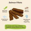 Pet 'n Shape Salmon Fillets, 16 oz - Healthy, Protein