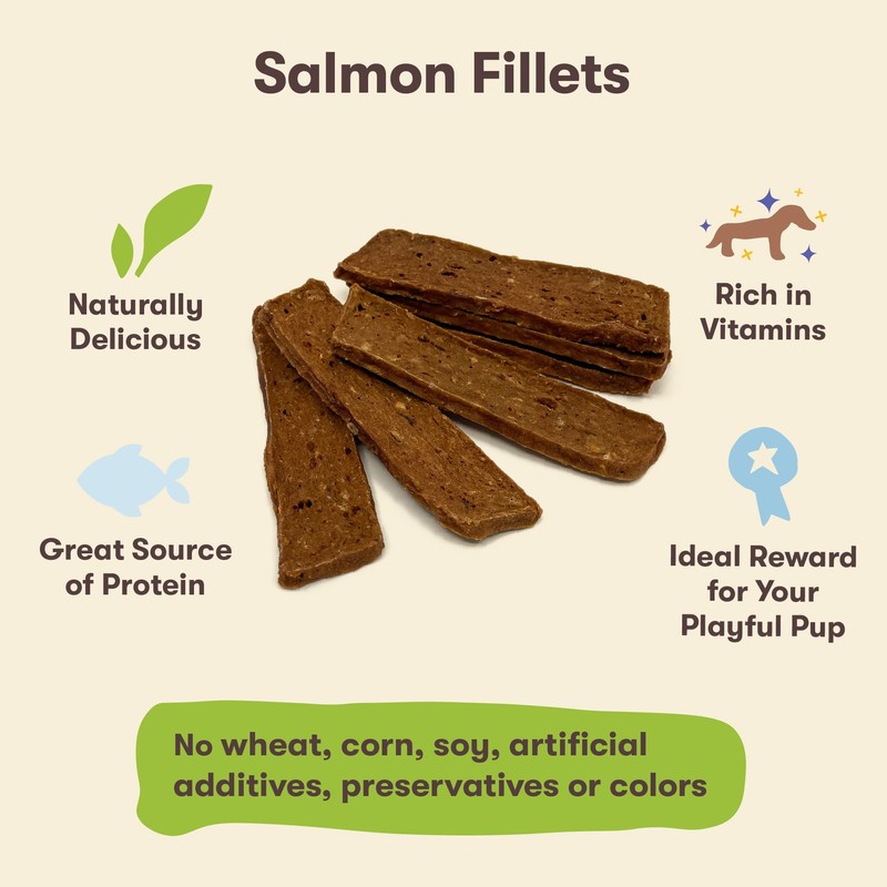 Pet 'n Shape Salmon Fillets, 16 oz - Healthy, Protein