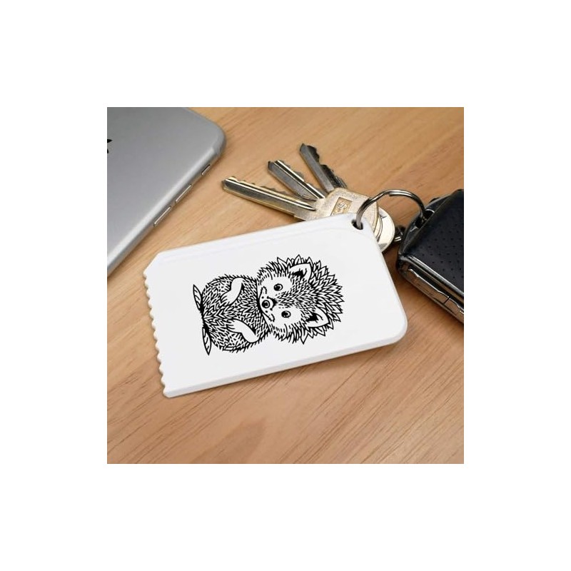 Azeeda 'Cute Hedgehog' Plastic Ice Scraper (IC00034019)