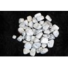 Prajet Crystal Natural Howlite Tumbled Stones 100 Grams White Howlite