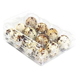 Quail Egg Boxes, 50 Pieces, Quail Eggs, Reusable, Ecyclable Plastic Egg Box for the Refrigerator, Each Space for 12 Small Quail Eggs, Pheasant or Grouse