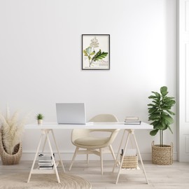 Stupell Industries Botanical Plant Illustration Leaves Vintage Design Black Framed Wall Art, Multi-Color, 16x20 (fap-211_fr_16x20)