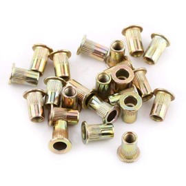 LiebeWH - Juego de Tuercas Remachables Tuercas de Remache de Acero Tuercas de Métrica(M10 (20 pcs/pack